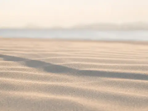 Product staged in the Fine sand scene
